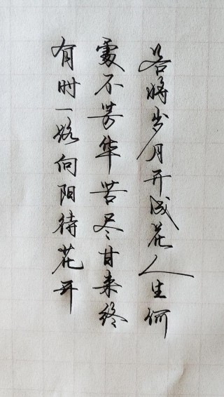 漫漫人生路，流年似锦，光阴不负