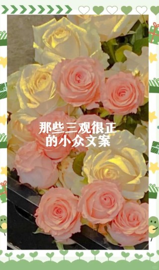 三观超正超干净的文案，三观纯净，心灵清澈的阳光文案