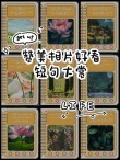 夸赞摄影师朋友圈文案，赞美别人照片拍得好句子