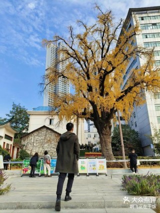 秋天留在钟家村