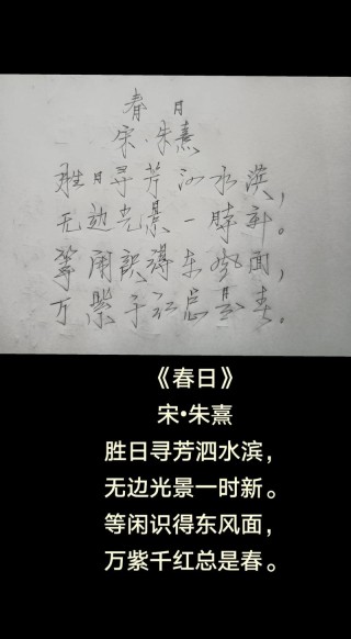 无限春光来不及