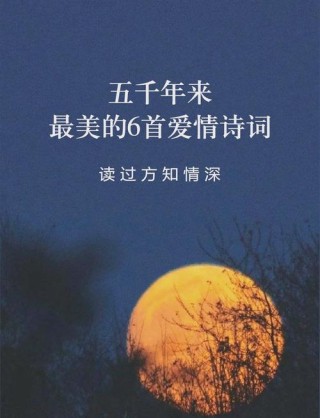 恋爱诗句大全，感性浪漫句子集锦