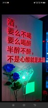 清醒时你是高贵冷艳无坚不摧，可喝酒时你总哭说你不想再付出
