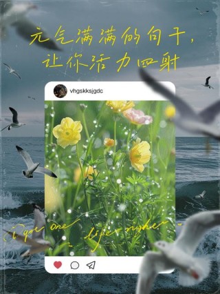 元气满满可爱的句子，元气满满可爱句子集锦