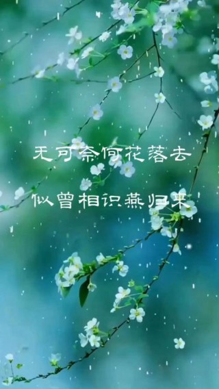 花开若相惜花落莫相离