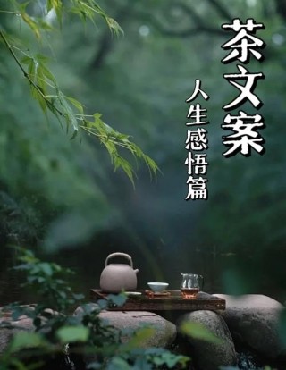 让一份静美点缀浮华的人生