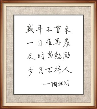 盛年不重来，一日难再晨