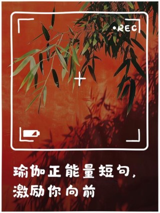 20 句话，照亮你的瑜伽之路……