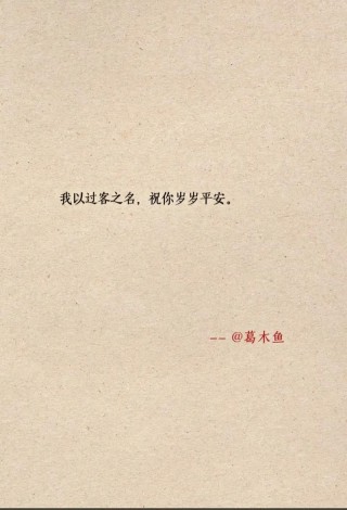 你是我生命中的过客