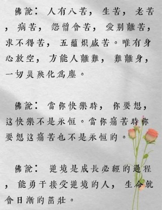 佛语人生哲理经典，佛语人生哲理经典，悟透佛法，领悟人生真谛。