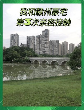 第三次亲密接触