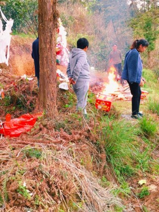 又到清明扫墓时