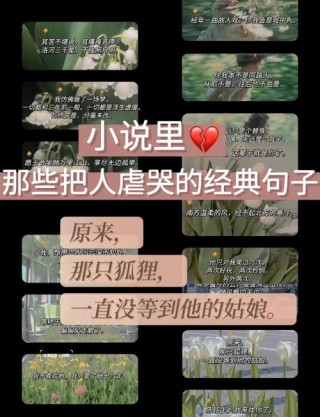 今日推文|让我们一起来看看小说中那些让人心动的句子吧|唯美