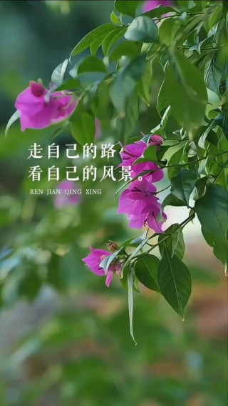 人生是一道亮丽的风景，快乐是一种优雅的心境，请好好照顾好自己
