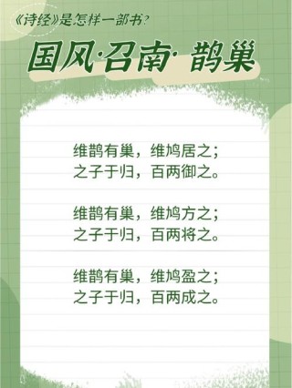 《诗经·鹊巢》：原来“鹊巢鸠占”是用来比喻爱情的