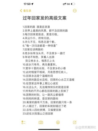 关于春节回家的高级文案