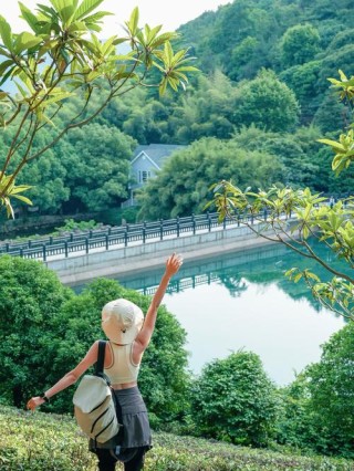 摸鱼高手的诗意之旅：上班路上的美丽风景
