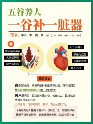 一谷补一脏 中医告诉你五谷怎样吃最养生