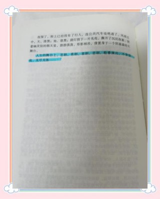 《穆斯林的葬礼》读后感