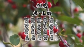 《古诗十九首》，相思占一半