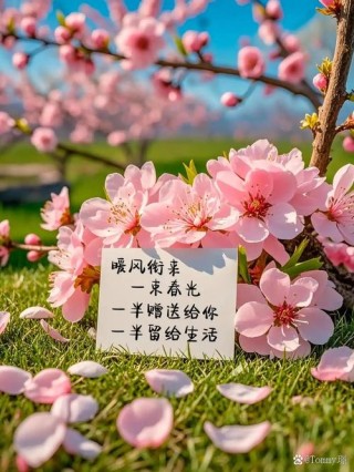 一花一叶最深情，万千春光花满园，花开惊艳时光，花香温柔岁月