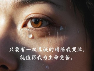 我的眼泪是你读不懂的伤悲