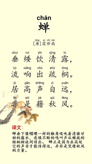 诗词丨清风朗月鸣蝉，纳凉赏月尽欢