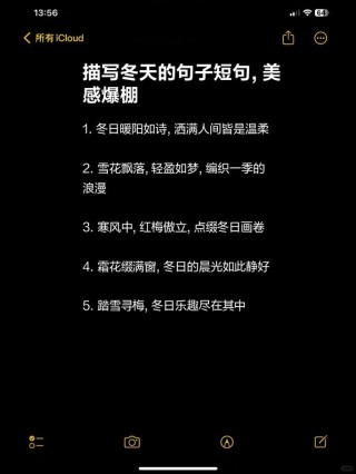 情绪文案：“又是一年冬，新冬可否胜旧冬”