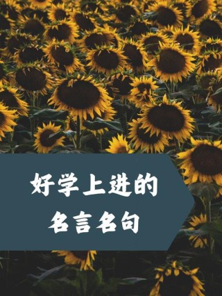 好学上进的名言名句，好学上进，砥砺前行的名言警句