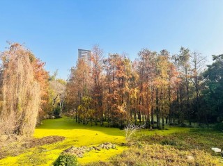 五一农场秋冬美景上线！