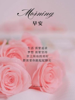 早晨安好：不乱于心，不困于情，不畏将来，不念过去，早安！