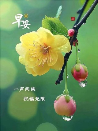早上好！适合发朋友圈的早安短句，一句比一句戳心，读了好几遍