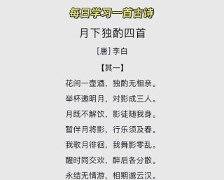 你独酌，我微醉，你我【独酌微醉】任逍遥……