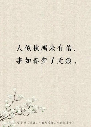 懂秋，在红尘深处.....（