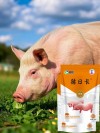 这些饲料可以提高猪的抗寒能力，冬季的时候喂最合适