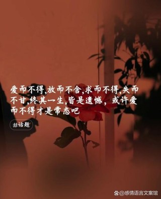 文案｜再爱下去的话就不礼貌了