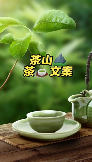 有趣的茶文案