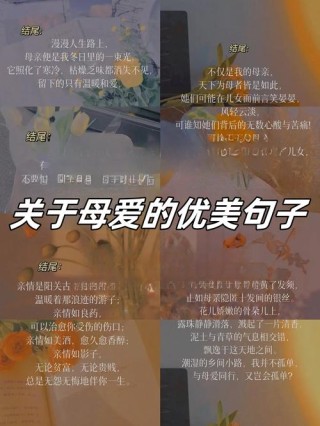 精选82句赞美母亲的名言佳句