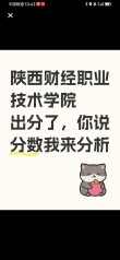 2025年陕西财经职业技术学院在宁夏录取分数线是多少（2025~2023近三年分数位次）
