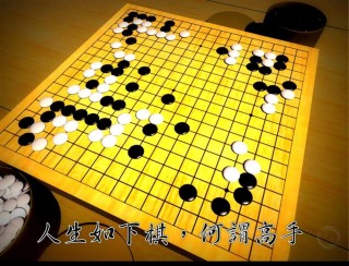 棋悟