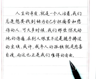 哲学与人生经典句子，哲学与人生经典句子，探寻智慧与人生真谛的箴言
