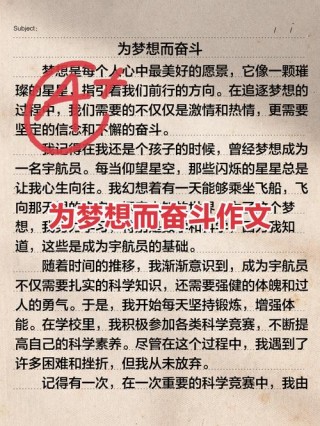 为自己的梦想而奋斗