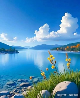 淡雅，心灵的一道美丽风景