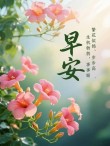 携一抹花香，守一份淡然