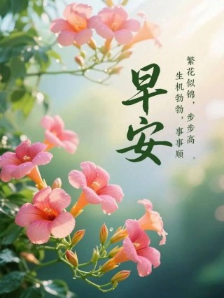 携一抹花香，守一份淡然