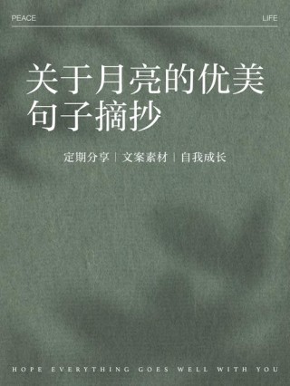 掬一缕月光，裁一绢温柔的心事