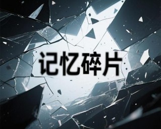 拾回遗失的美好