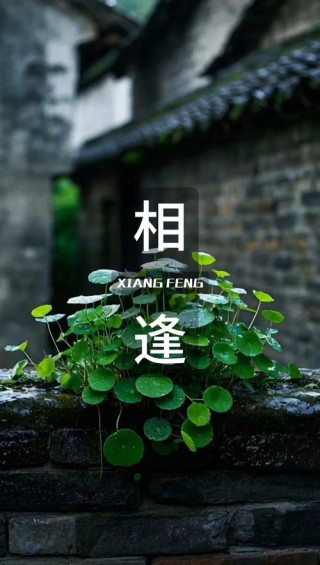 最美不过初相逢