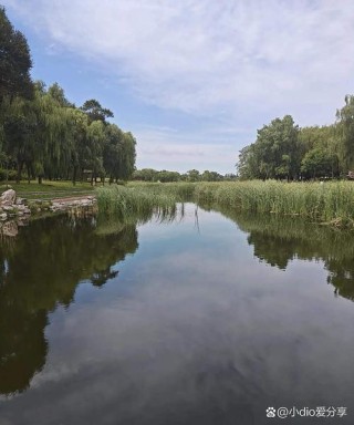 拥有河流的日子是美好的