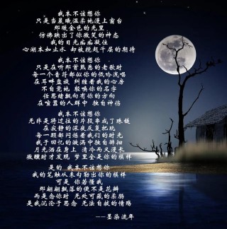 留不住你的温柔唯美句子 留不住你的温柔是哪年的歌